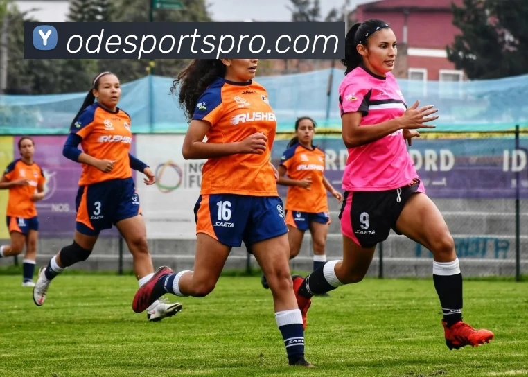 OD电竞内容平台生态图