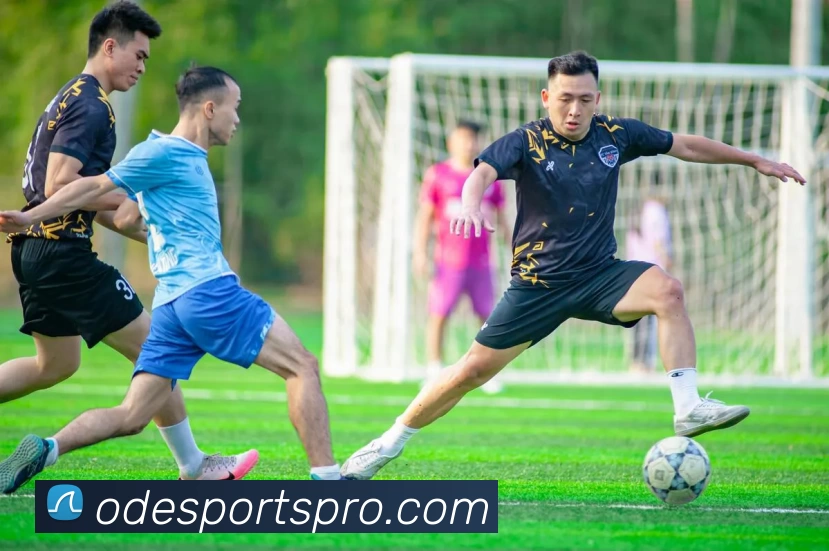 OD电竞内容全站App